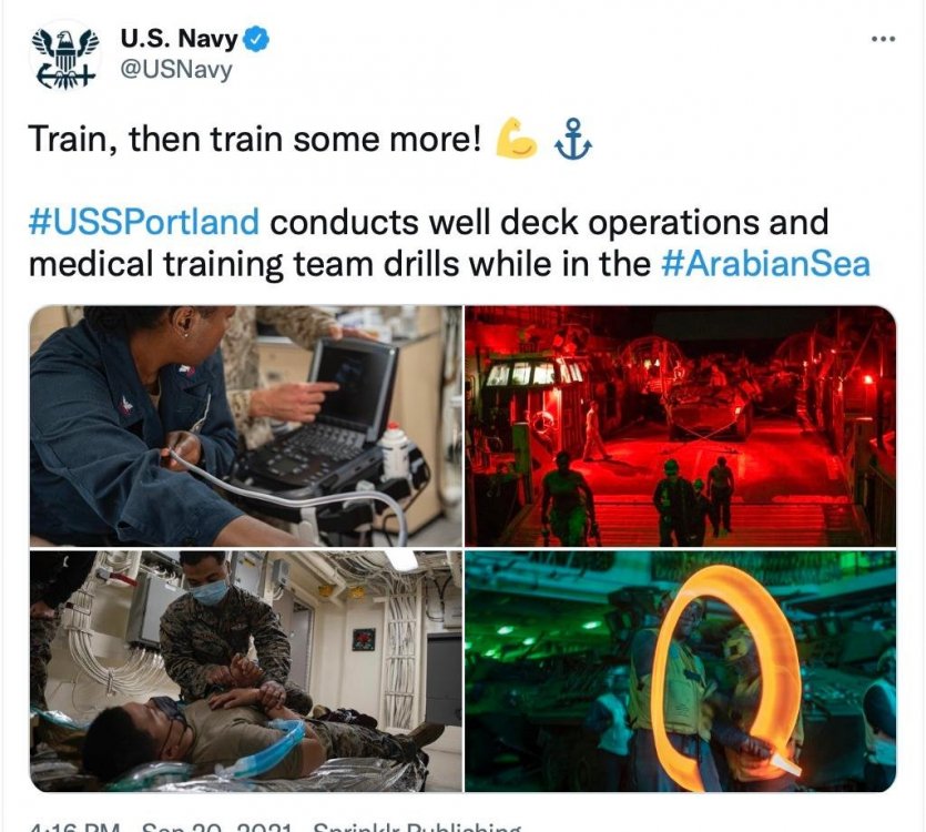 navy q's.jpeg